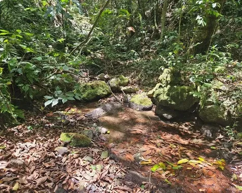 Hacienda De Cidra, Rabanal Parcela #32 Cidra PR 00739