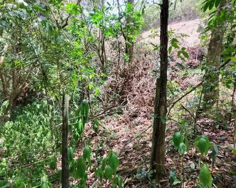 Hacienda De Cidra, Rabanal Parcela #32 Cidra PR 00739