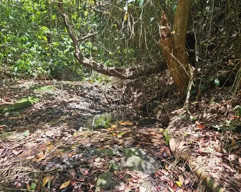 Hacienda De Cidra, Rabanal Parcela #32 Cidra PR 00739