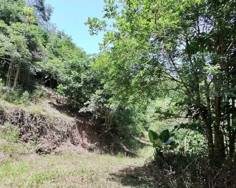 Hacienda De Cidra, Rabanal Parcela #32 Cidra PR 00739