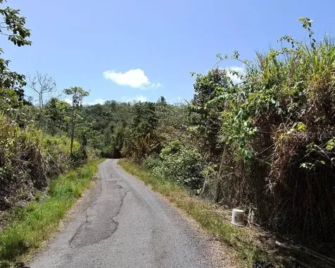 Hacienda De Cidra, Rabanal Parcela #32 Cidra PR 00739