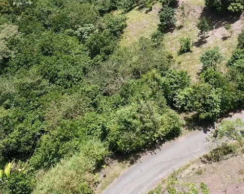 Hacienda De Cidra, Rabanal Parcela #32 Cidra PR 00739