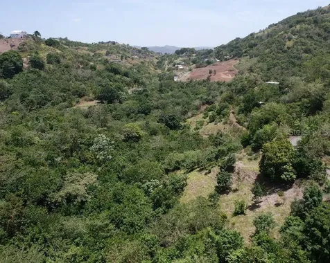 Hacienda De Cidra, Rabanal Parcela #32 Cidra PR 00739