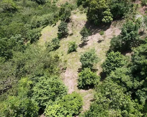Hacienda De Cidra, Rabanal Parcela #32 Cidra PR 00739