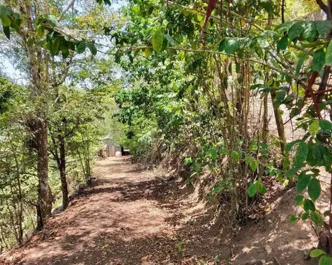 Hacienda De Cidra, Rabanal Parcela #32 Cidra PR 00739