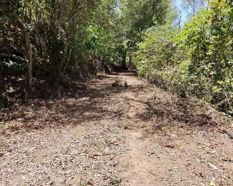 Hacienda De Cidra, Rabanal Parcela #32 Cidra PR 00739