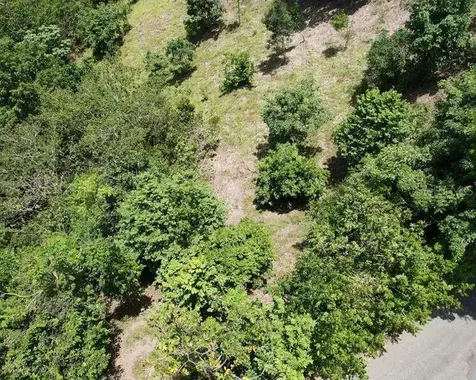 Hacienda De Cidra, Rabanal Parcela #32 Cidra PR 00739