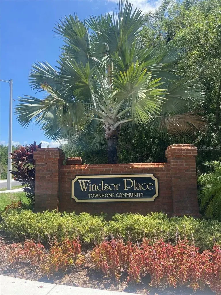 Tampa FL 33626