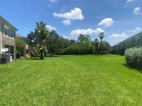 Tampa FL 33626