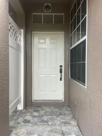 Tampa FL 33626