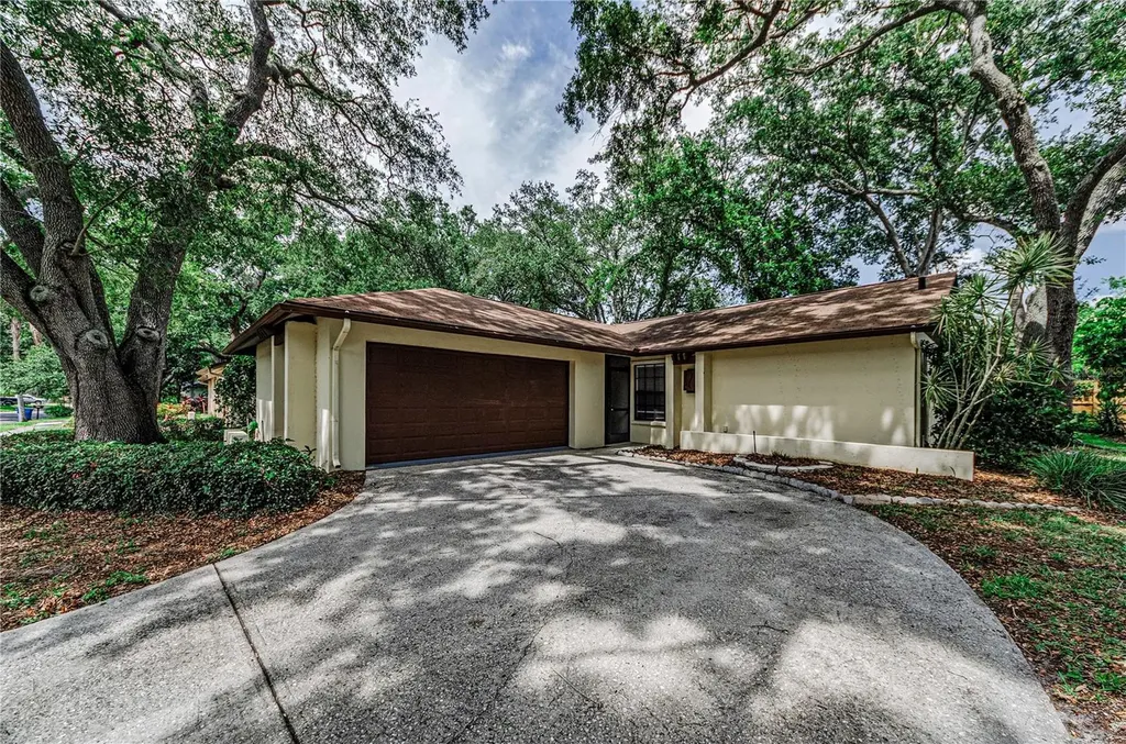 260 Arbor Glen Drive Palm Harbor FL 34683