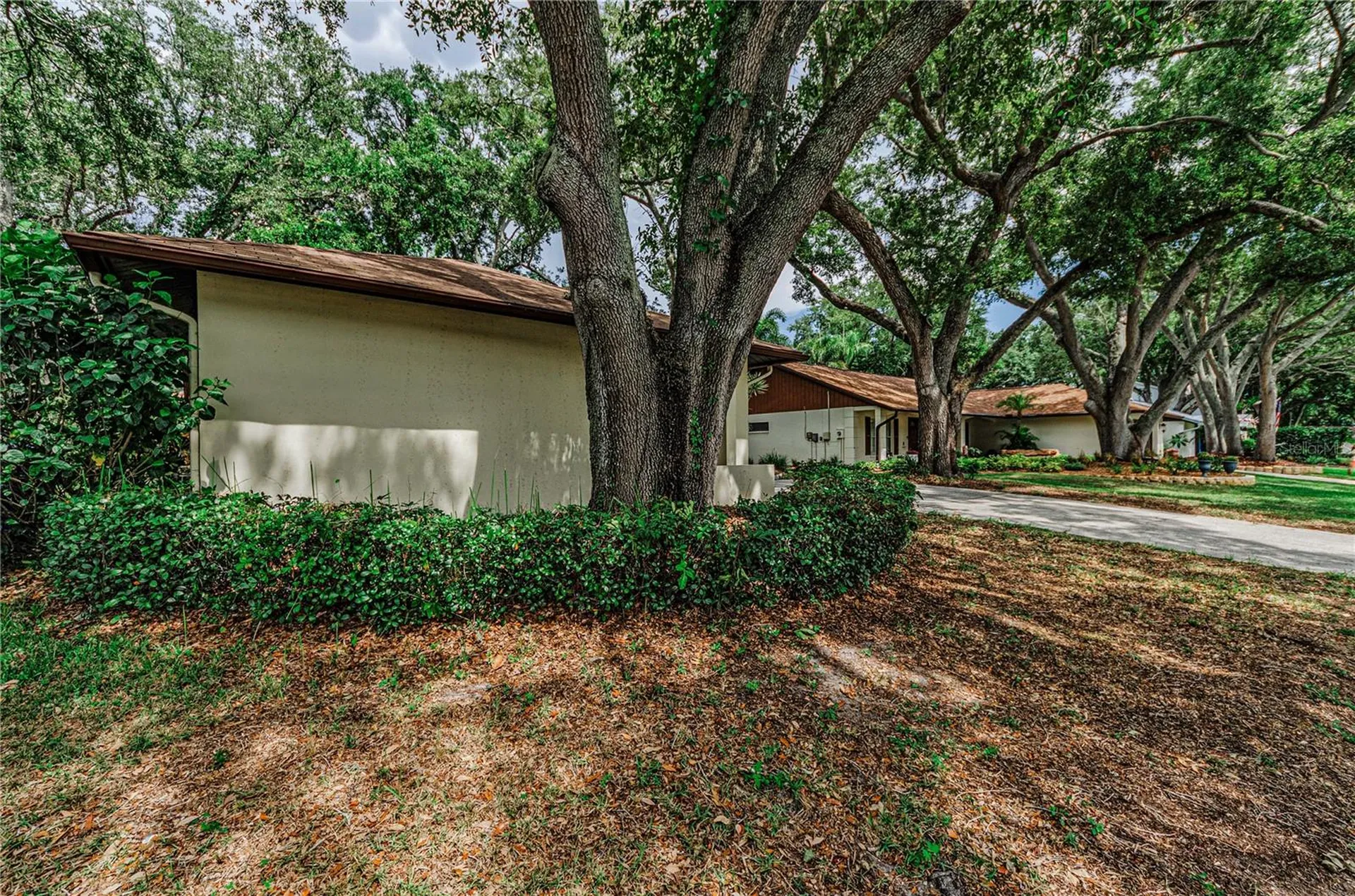 260 Arbor Glen Drive Palm Harbor FL 34683