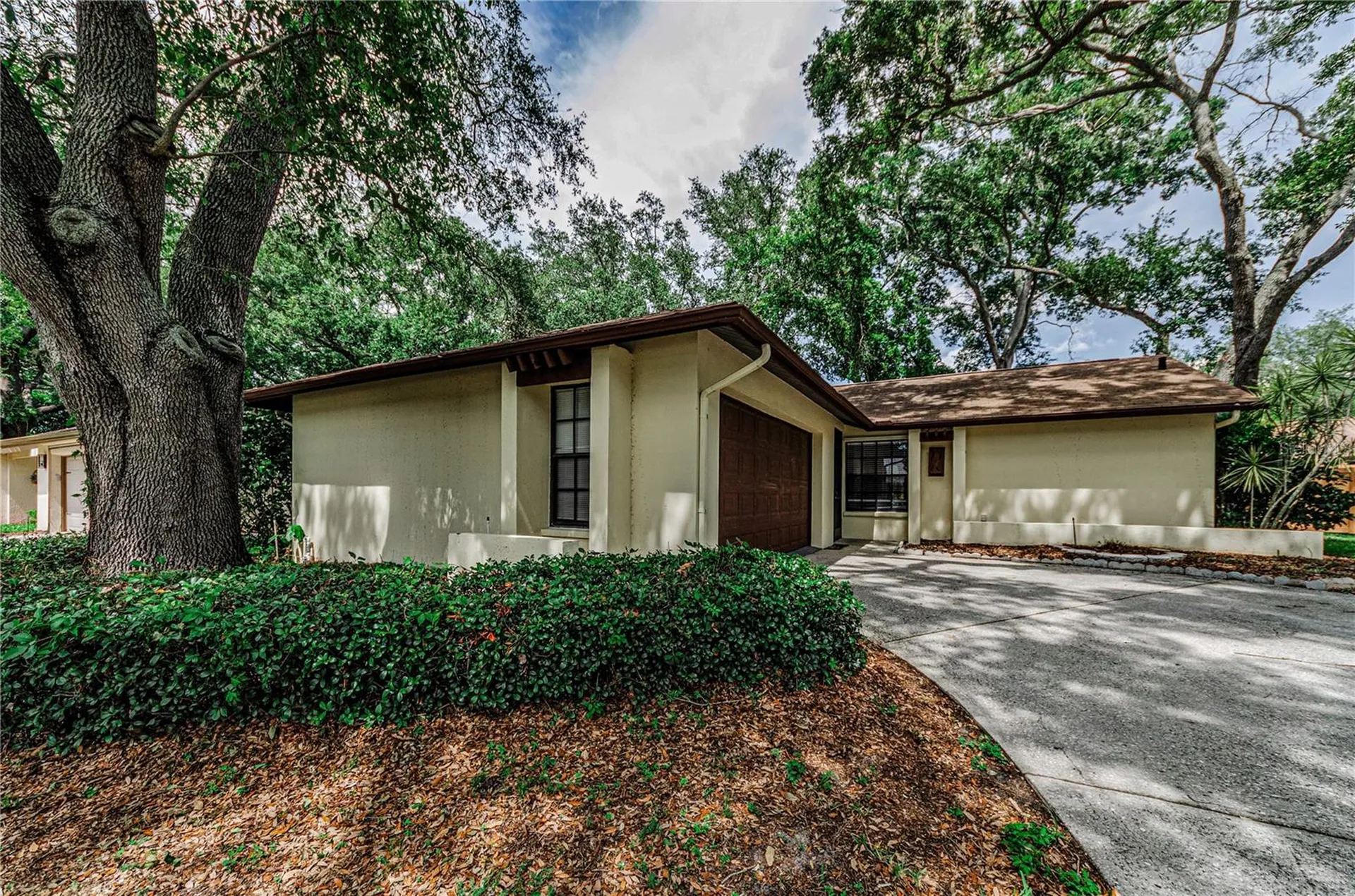 260 Arbor Glen Drive Palm Harbor FL 34683