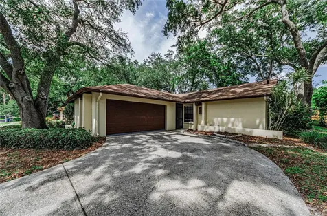 260 Arbor Glen Drive Palm Harbor FL 34683