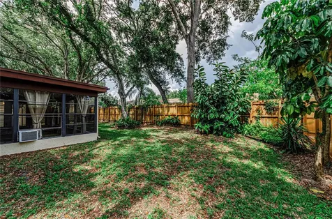 260 Arbor Glen Drive Palm Harbor FL 34683