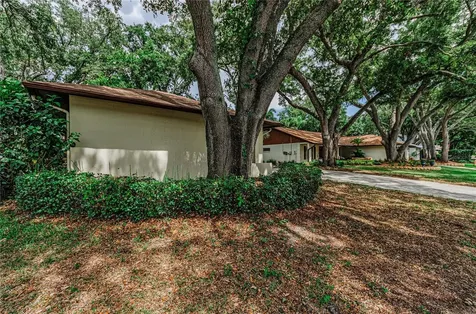 260 Arbor Glen Drive Palm Harbor FL 34683