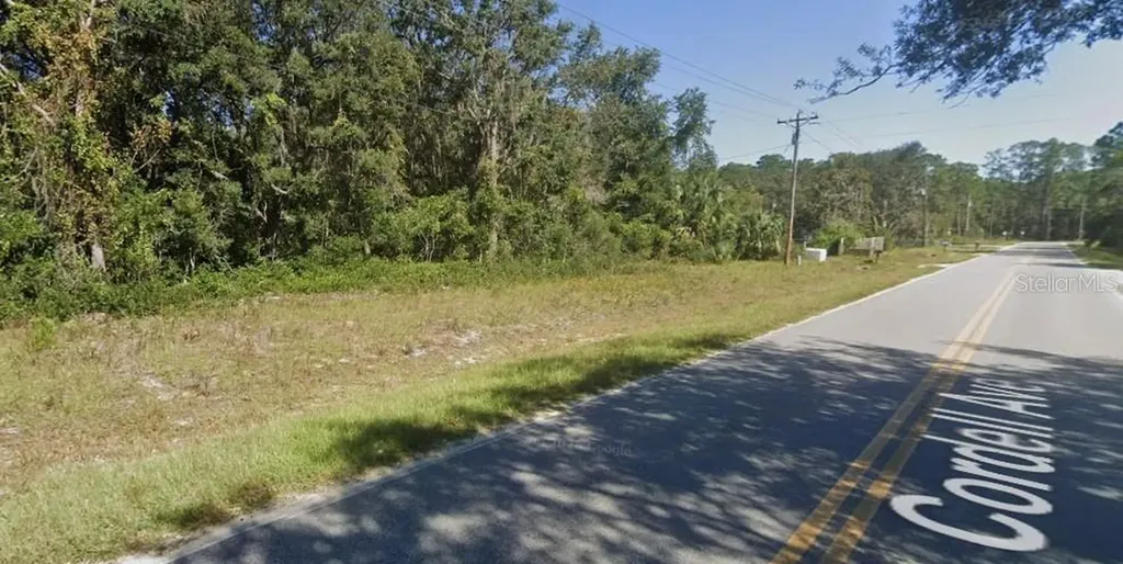 Cordell Avenue Interlachen FL 32148