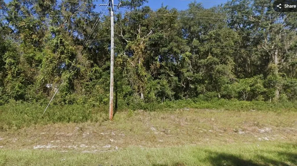 Cordell Avenue Interlachen FL 32148