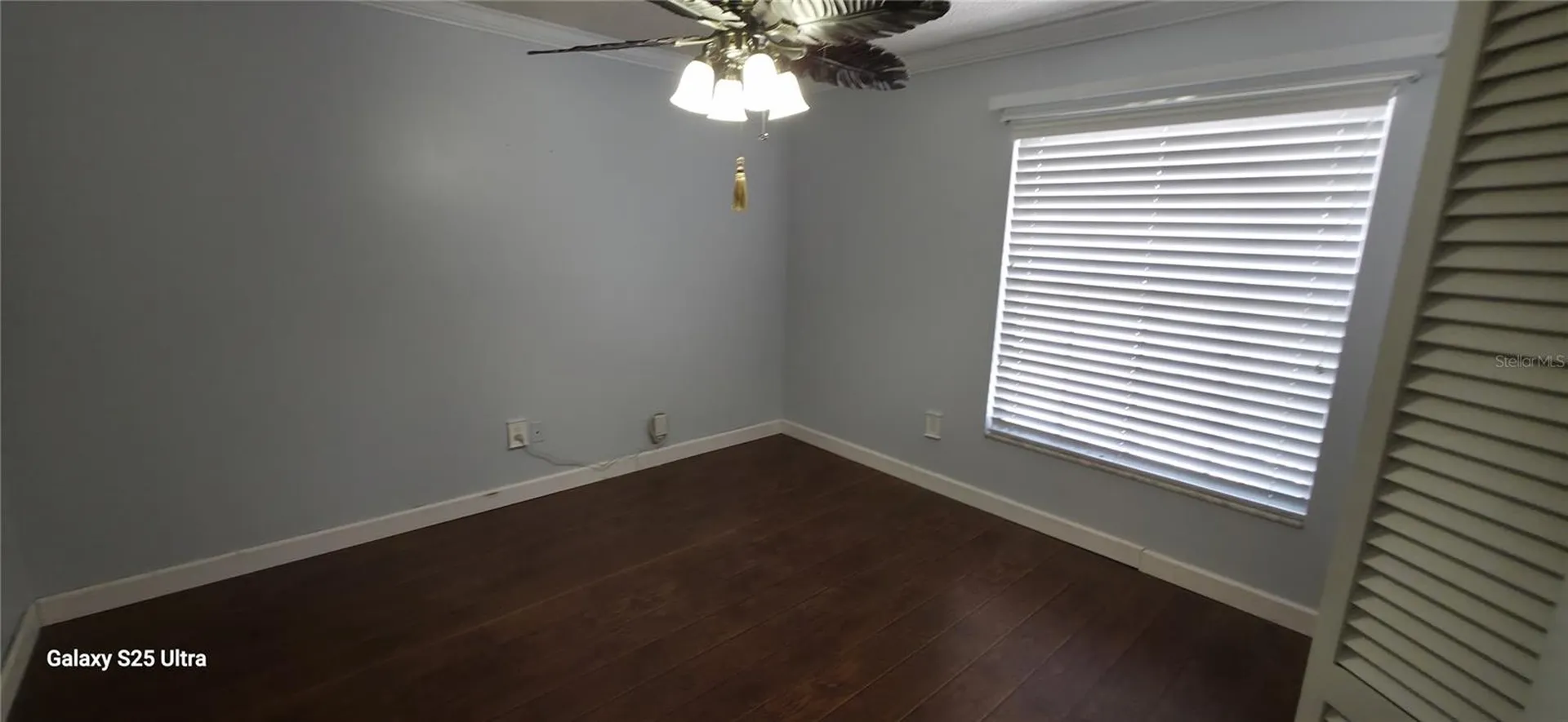 3205 Laurel Dale Drive Tampa FL 33618