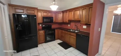 3205 Laurel Dale Drive Tampa FL 33618