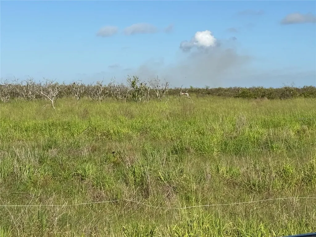 NE Highway 70 Arcadia FL 34266