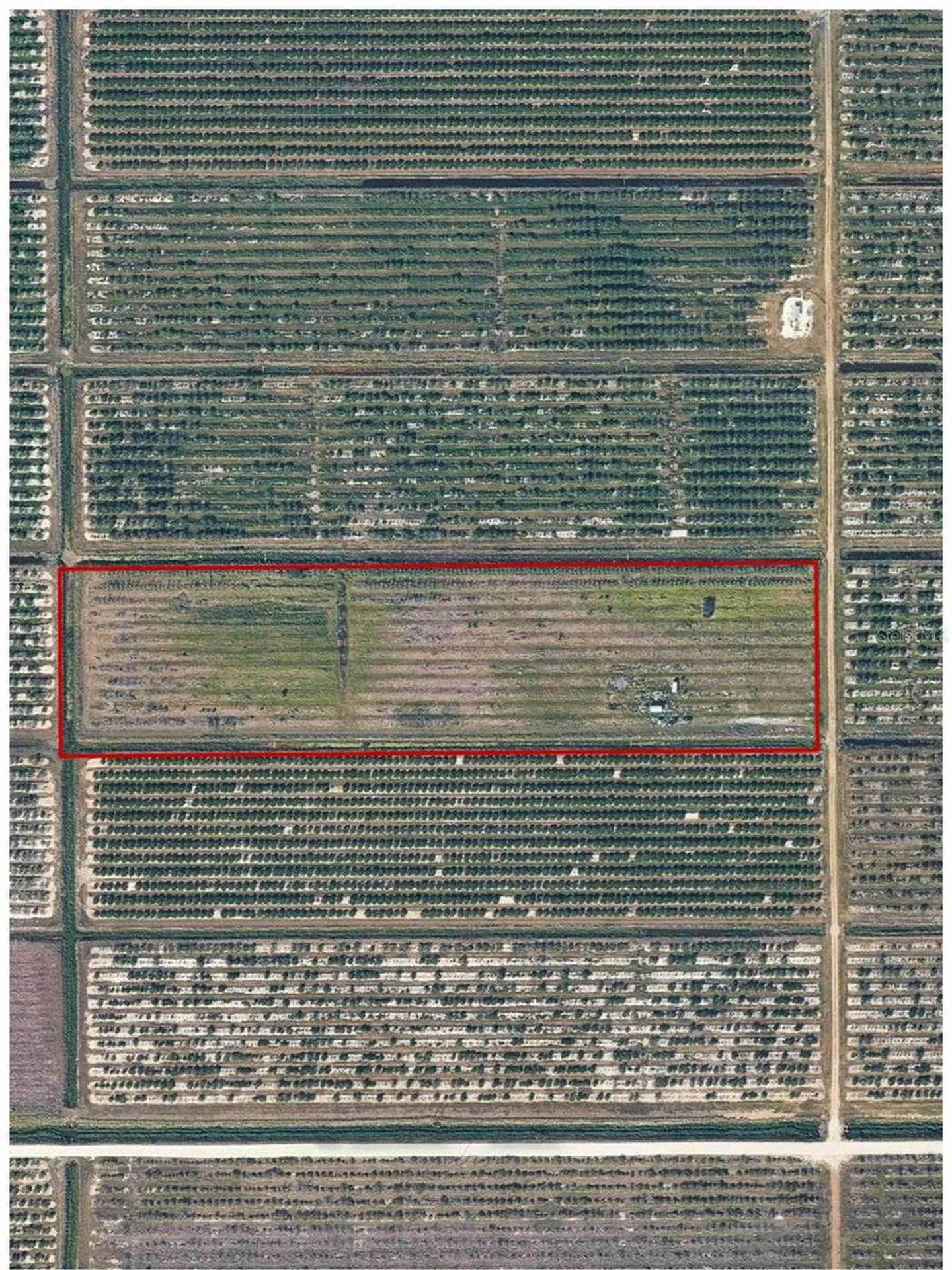 NE Highway 70 Arcadia FL 34266