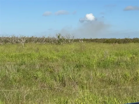 NE Highway 70 Arcadia FL 34266