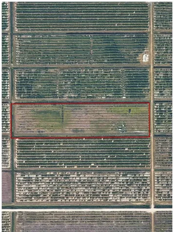 NE Highway 70 Arcadia FL 34266