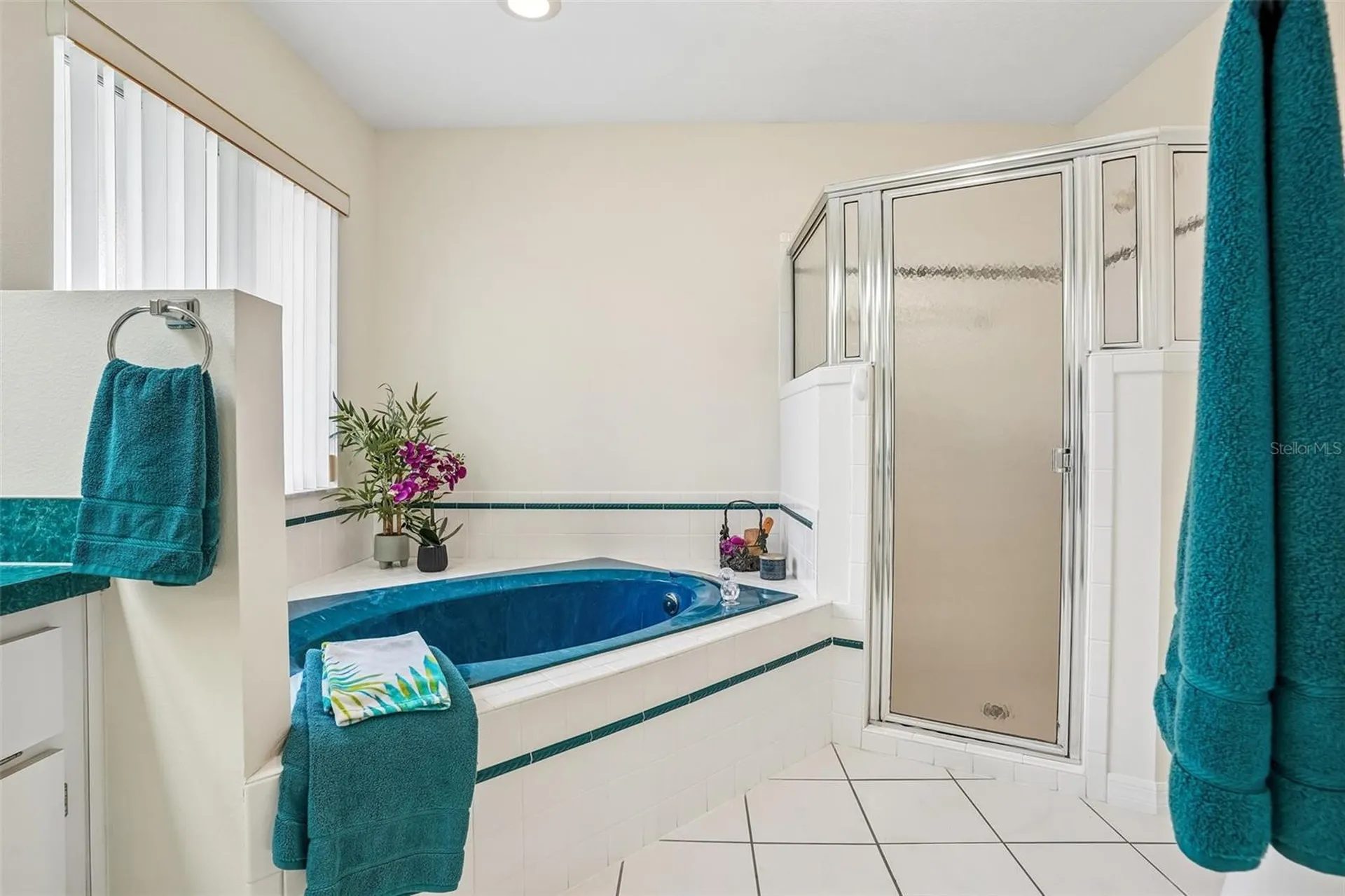 6407 Tildon Court Leesburg FL 34748