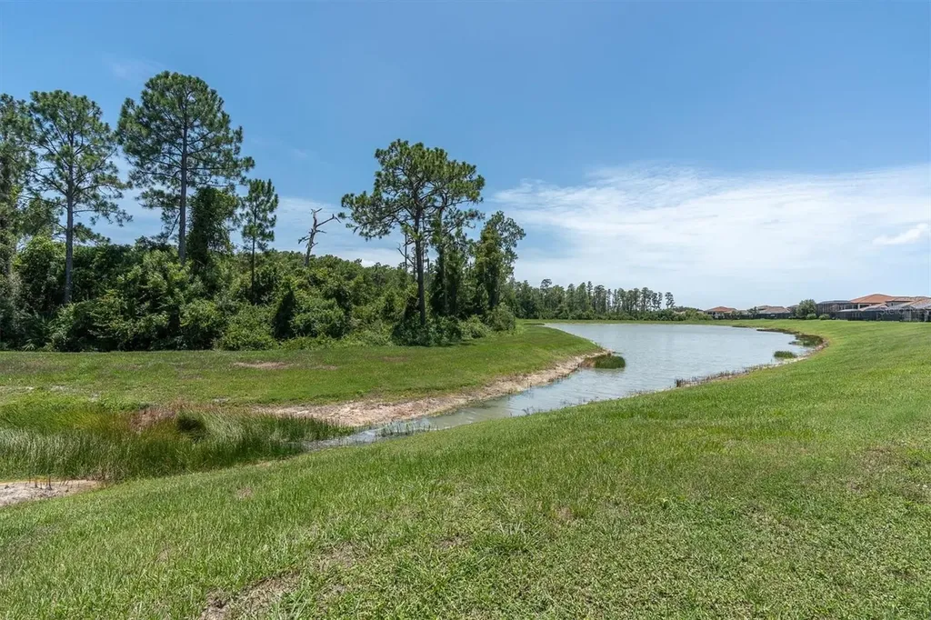 11736 Ranchers Gap Drive Odessa FL 33556
