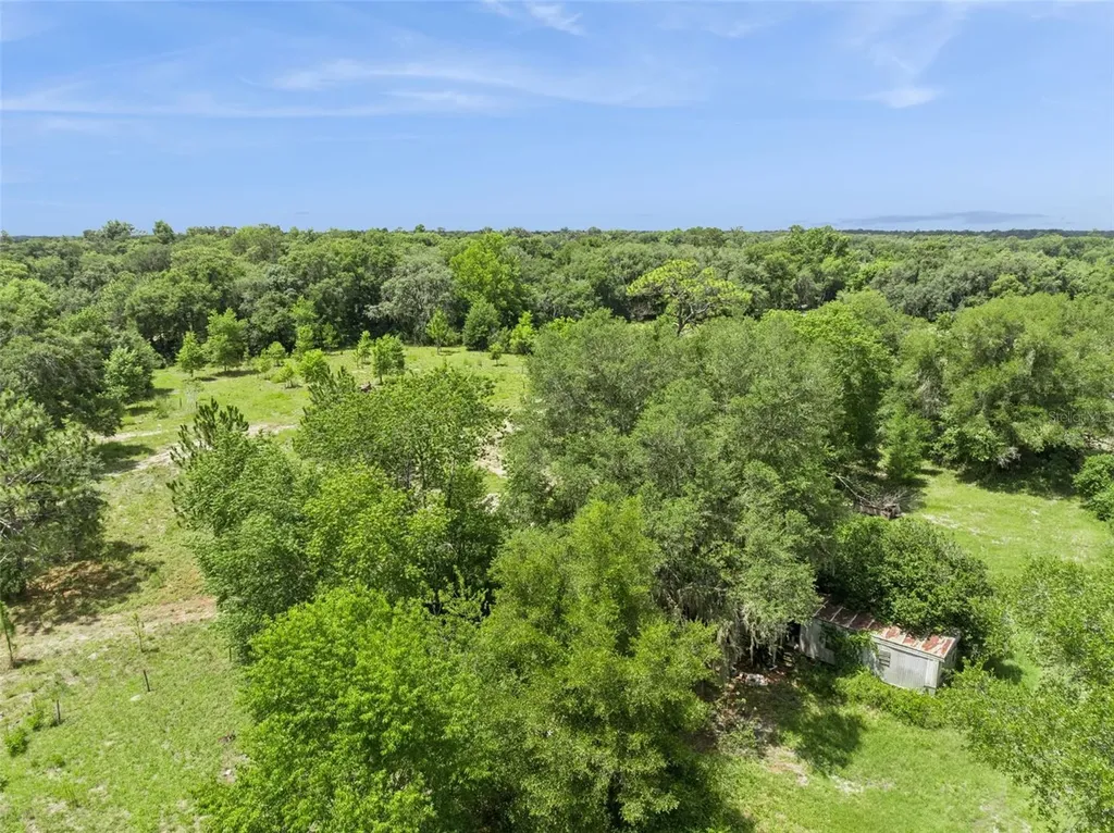 2040 Holly Hammock Road De Leon Springs FL 32130
