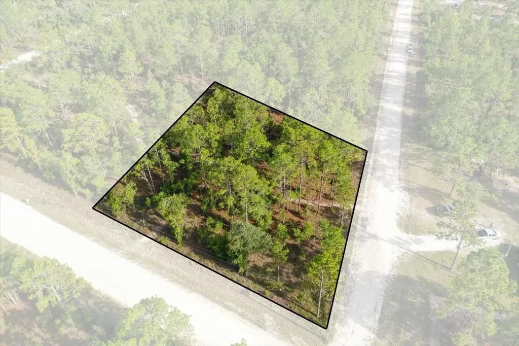 0000 NE 131 Lot 10 Terrace Williston FL 32696