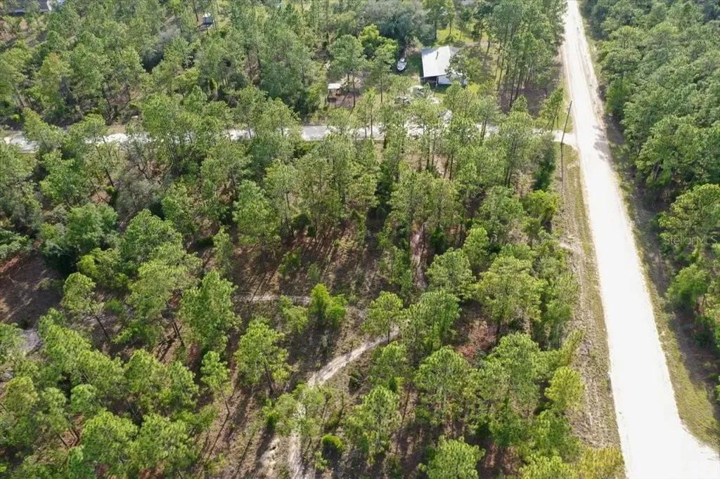 0000 NE 131 Lot 10 Terrace Williston FL 32696