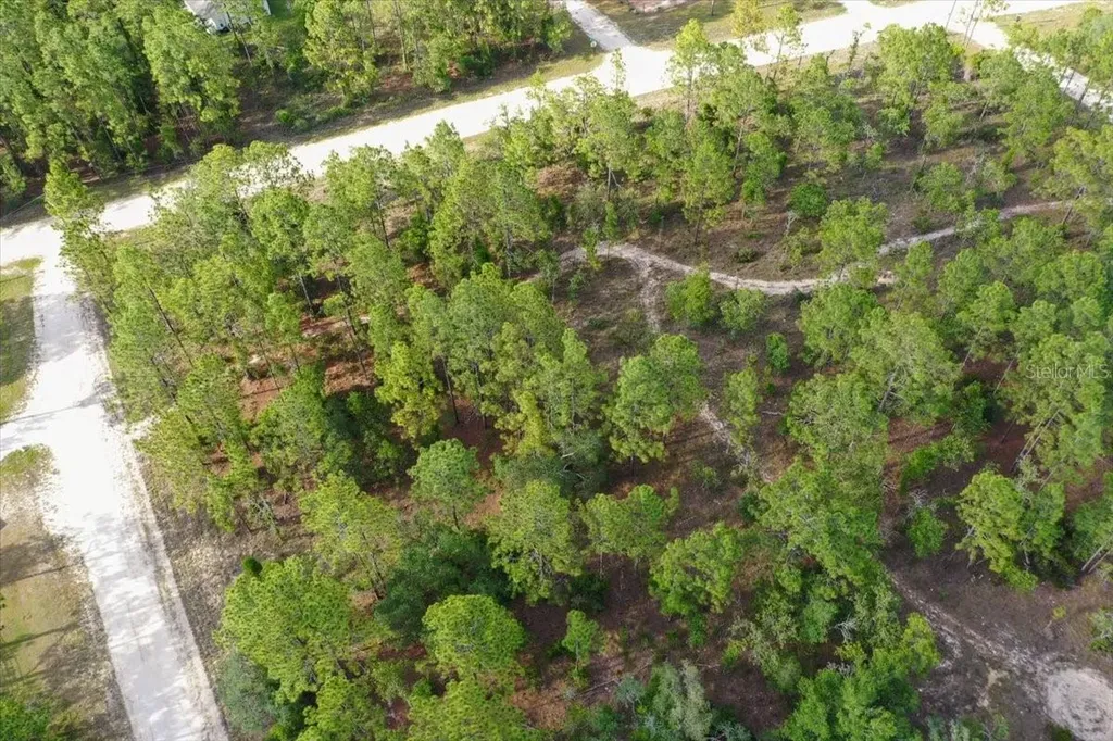 0000 NE 131 Lot 10 Terrace Williston FL 32696