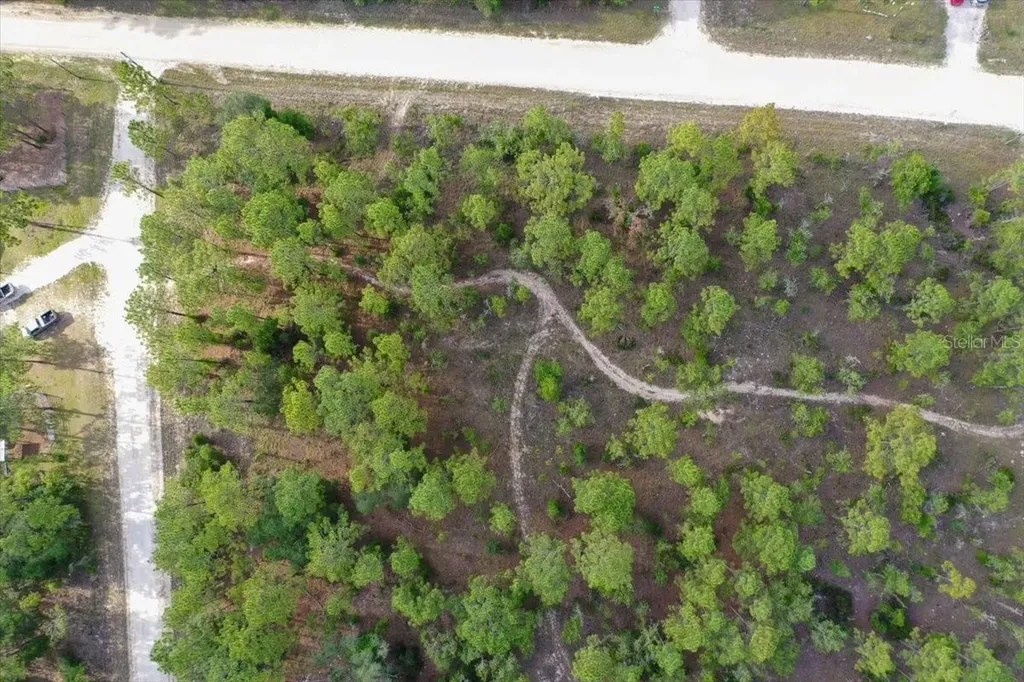0000 NE 131 Lot 10 Terrace Williston FL 32696
