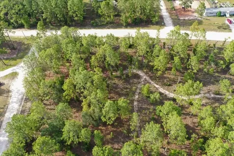 0000 NE 131 Lot 10 Terrace Williston FL 32696