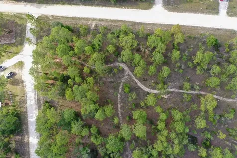 0000 NE 131 Lot 10 Terrace Williston FL 32696