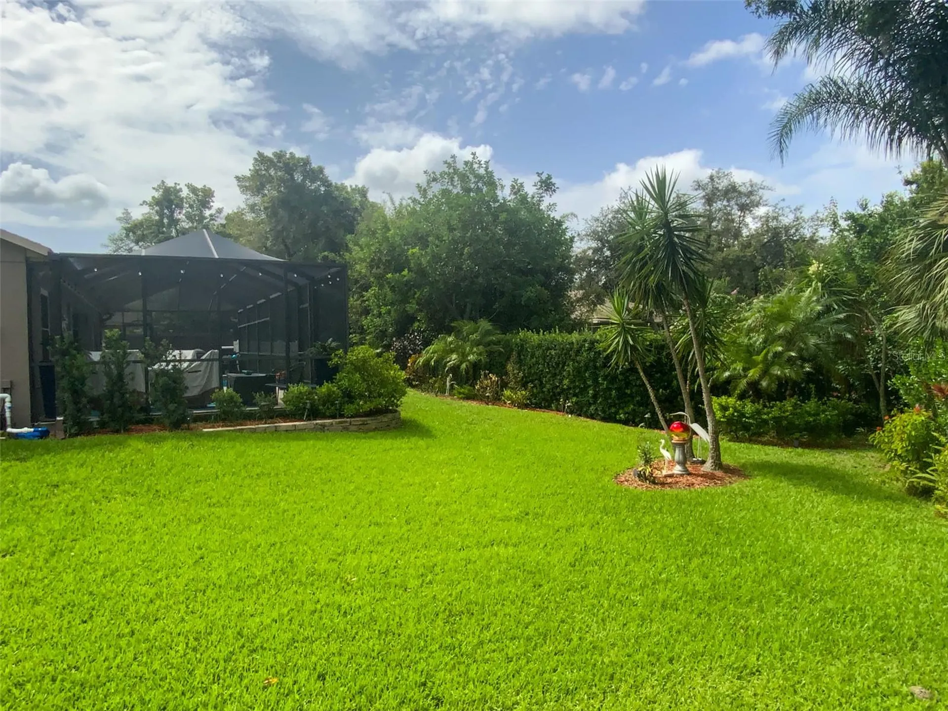 7407 Canvasback Drive New Port Richey FL 34654
