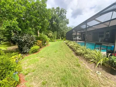 7407 Canvasback Drive New Port Richey FL 34654