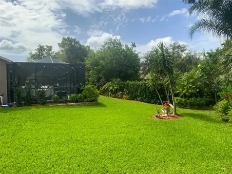 7407 Canvasback Drive New Port Richey FL 34654