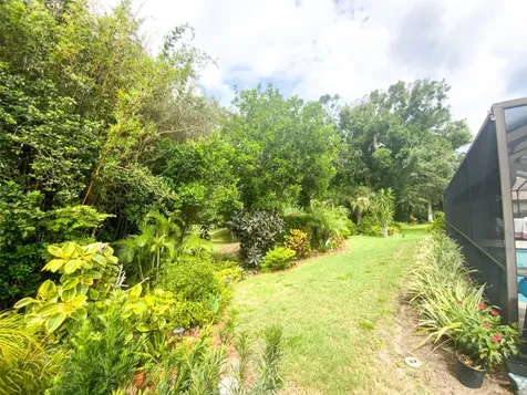 7407 Canvasback Drive New Port Richey FL 34654