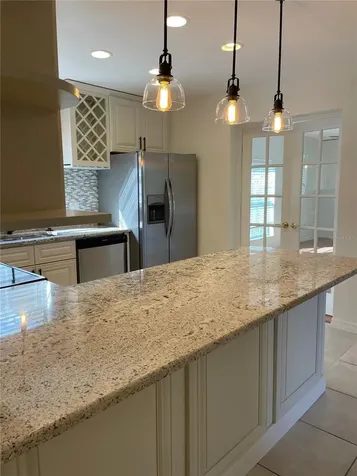 1424 Chesterfield Drive Dunedin FL 34698