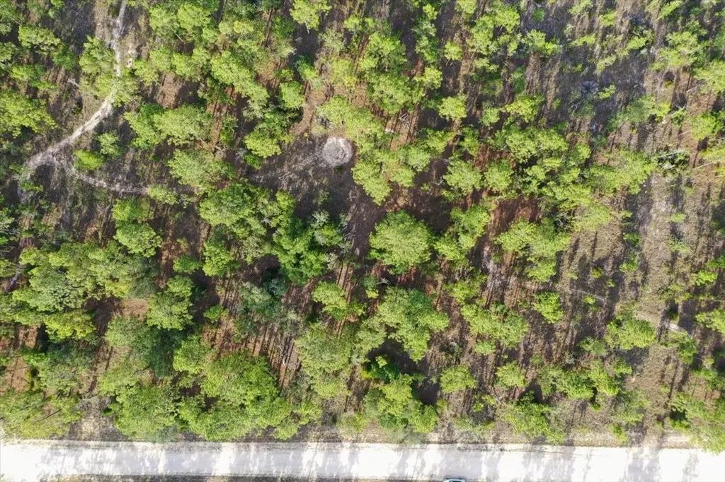 0000 NE 131 Lot 9 Terrace Williston FL 32696