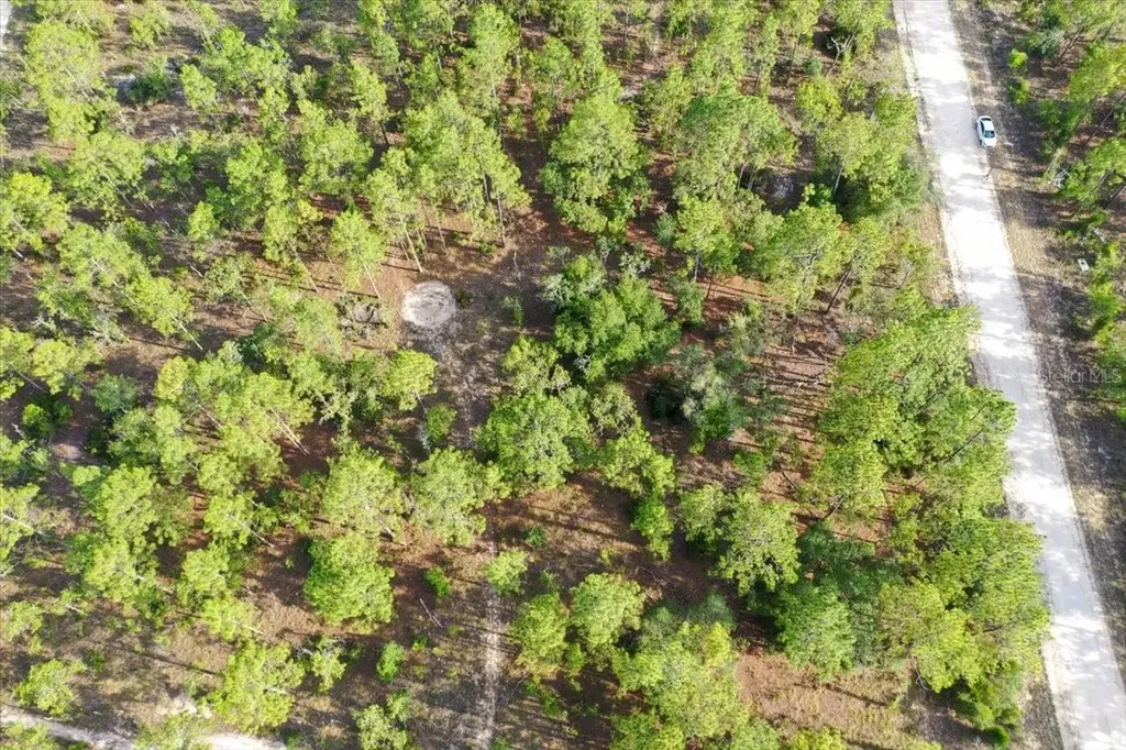 0000 NE 131 Lot 9 Terrace Williston FL 32696