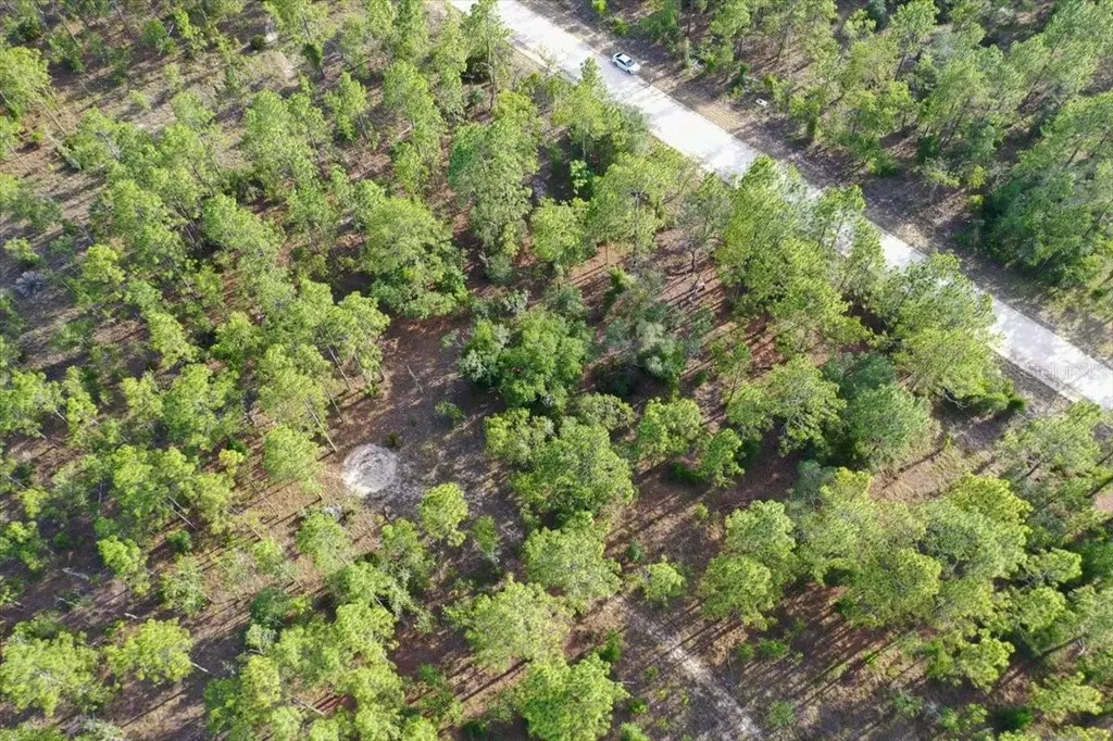 0000 NE 131 Lot 9 Terrace Williston FL 32696