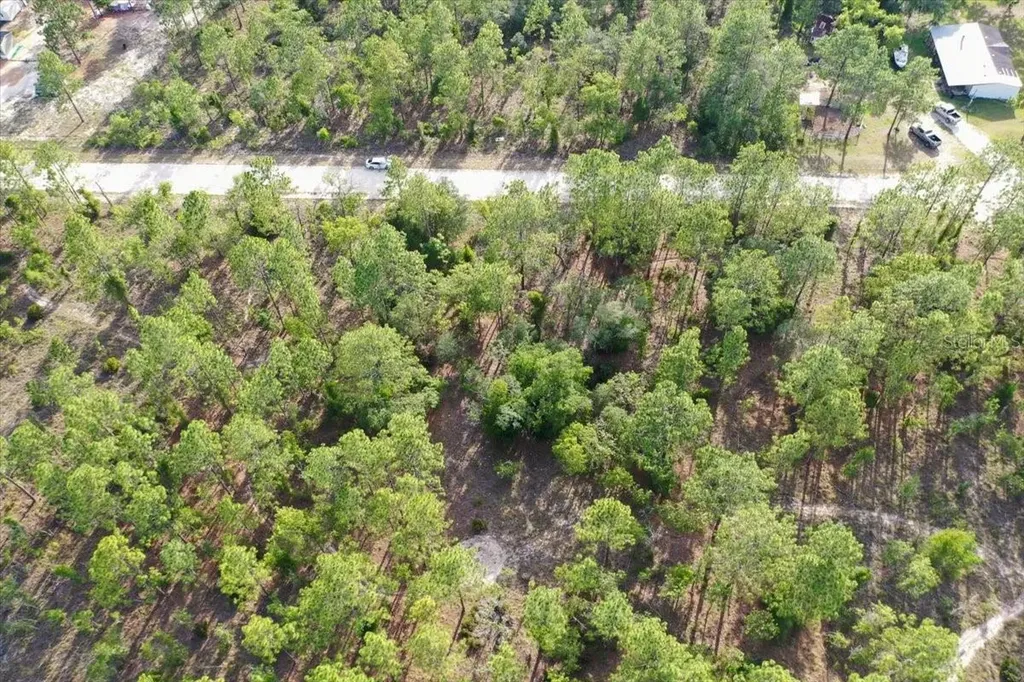 0000 NE 131 Lot 9 Terrace Williston FL 32696