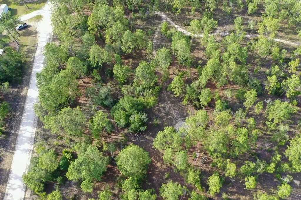0000 NE 131 Lot 9 Terrace Williston FL 32696