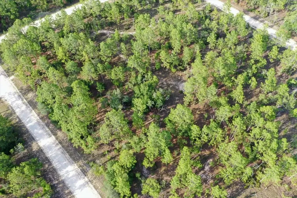0000 NE 131 Lot 9 Terrace Williston FL 32696
