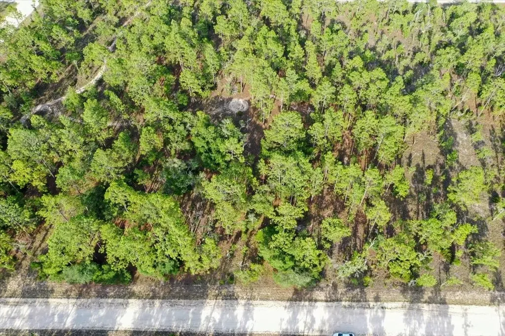 0000 NE 131 Lot 9 Terrace Williston FL 32696