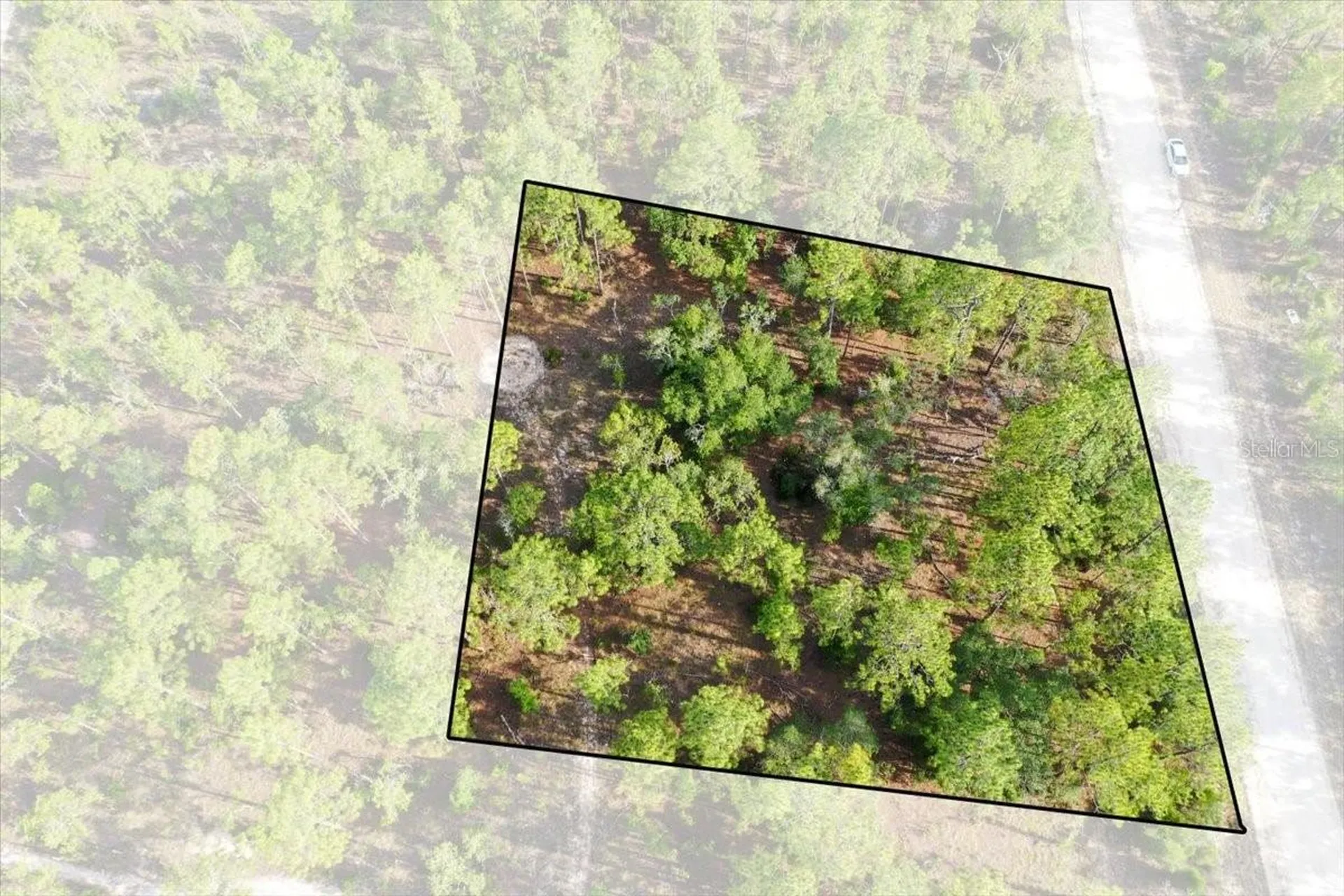 0000 NE 131 Lot 9 Terrace Williston FL 32696